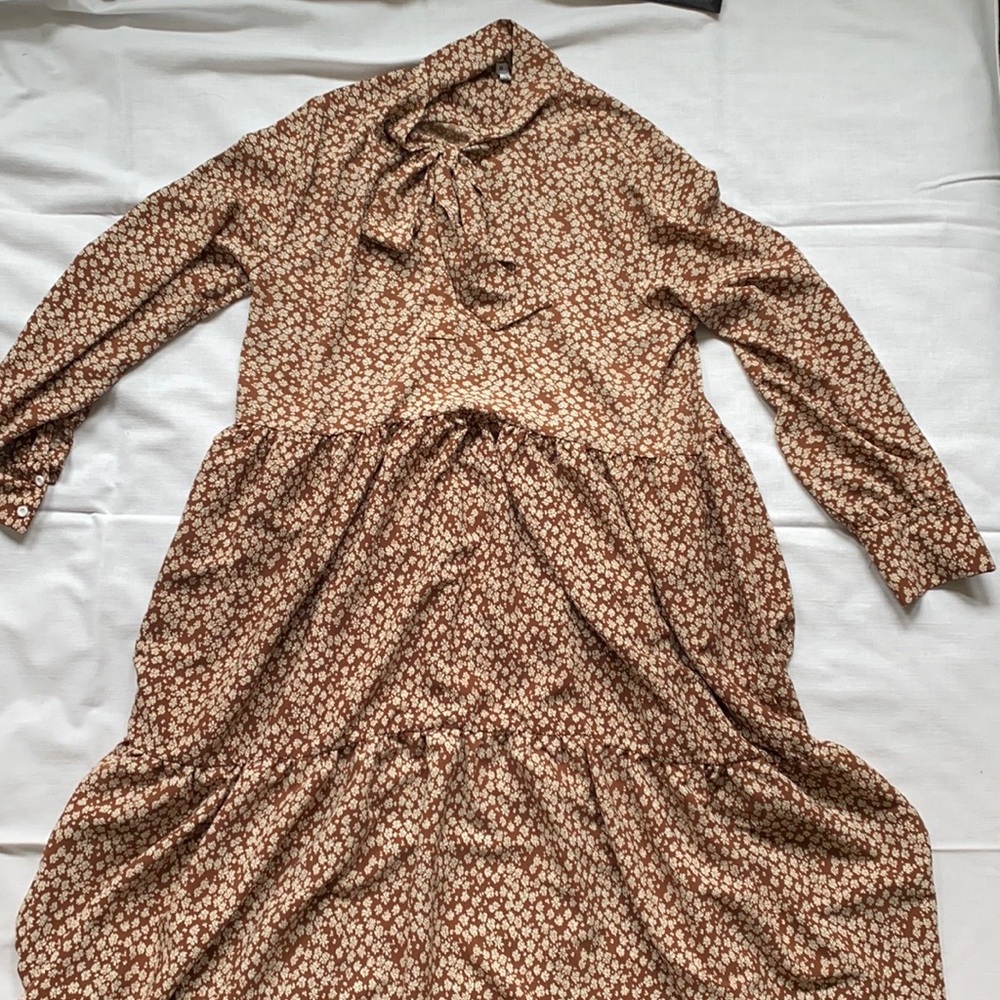 Brown prairie style dress